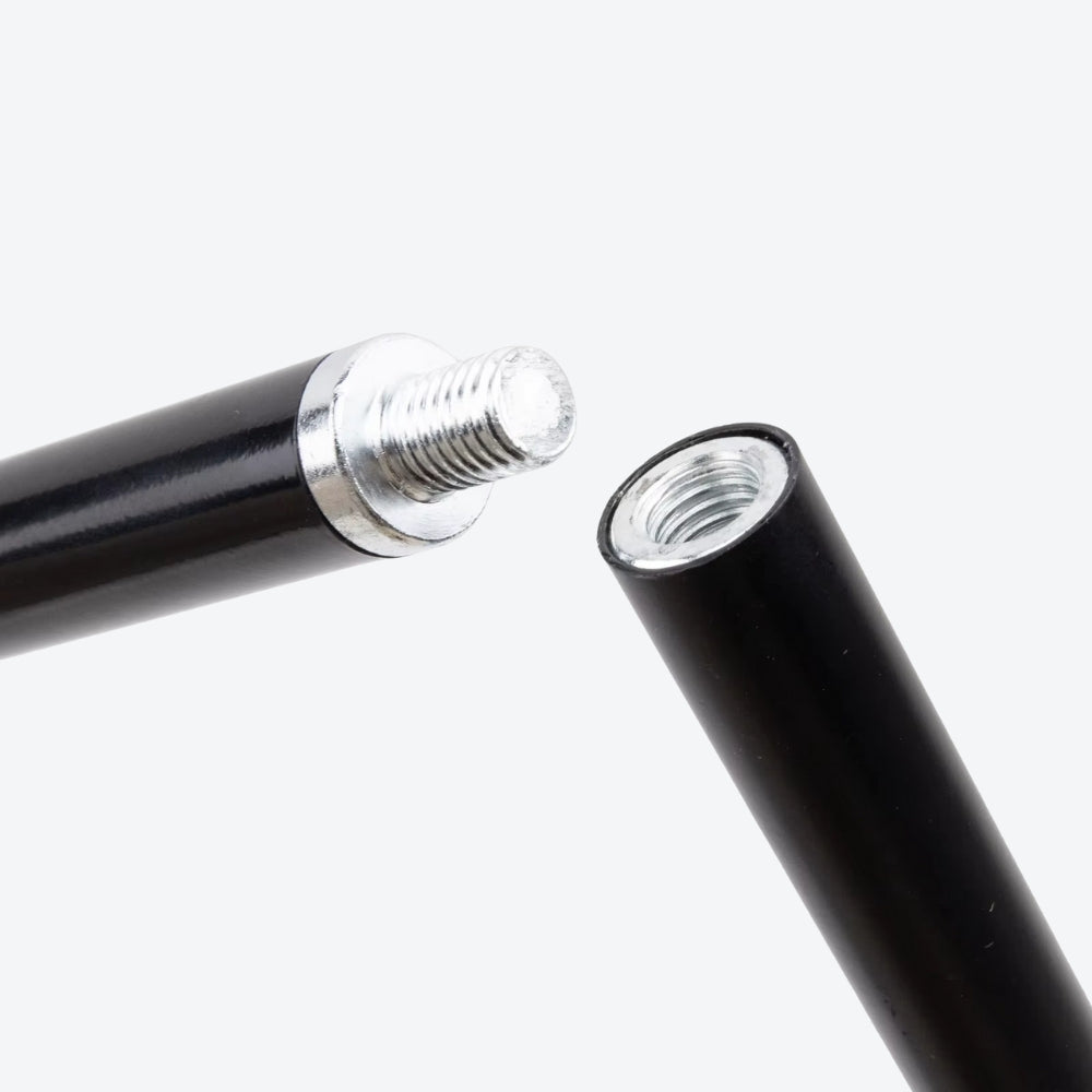 Bengala Vintage Dragão Real - Bastoni