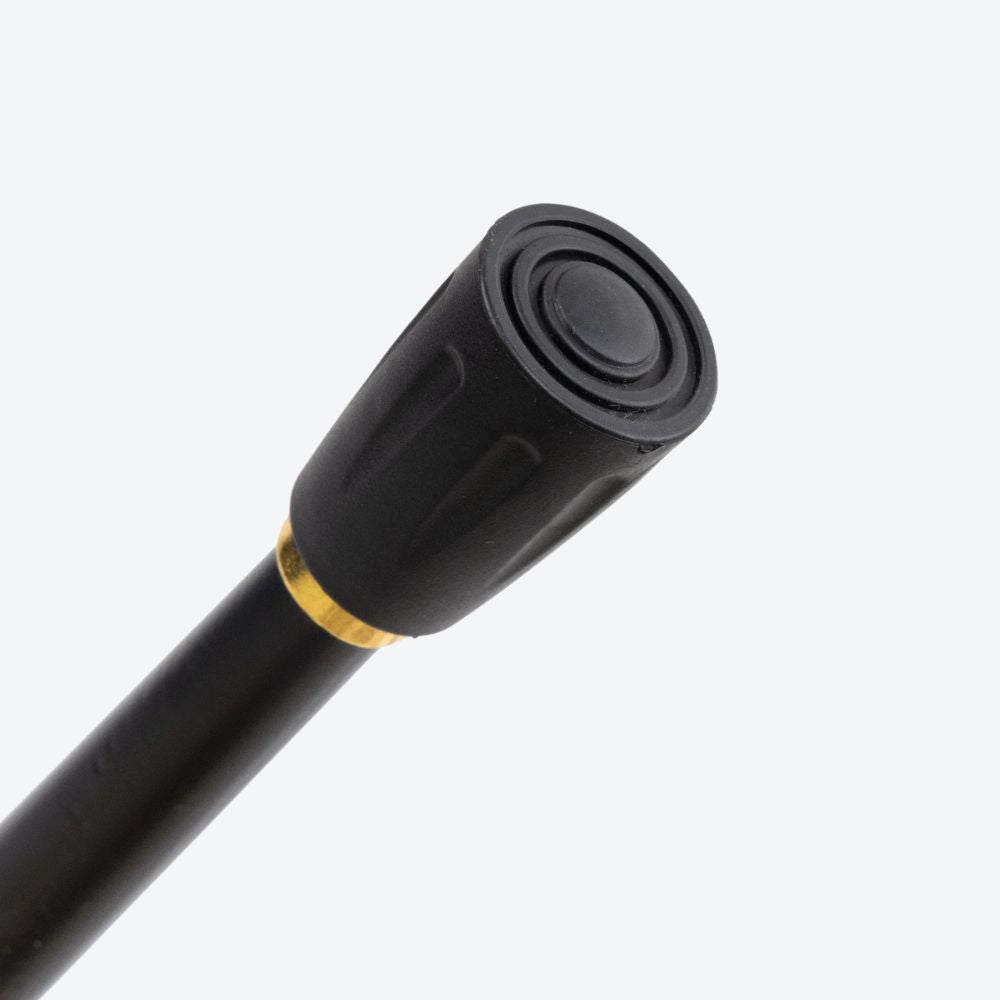 Bengala de Luxo Dourada Leão da Realeza Imperial - Bastoni